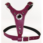 310-BOYSENBERRY